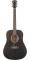 WASHBURN DEEP FOREST DREADNOUGHT EBONY MATTE - Image n°2